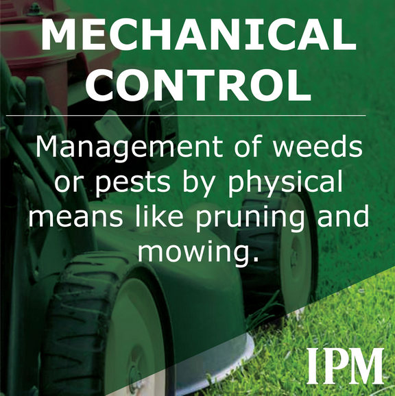 Mechanical control includes trapping pruning and mowing
