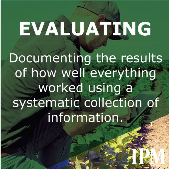 Evaluating IPM documents the results of how everything worked 