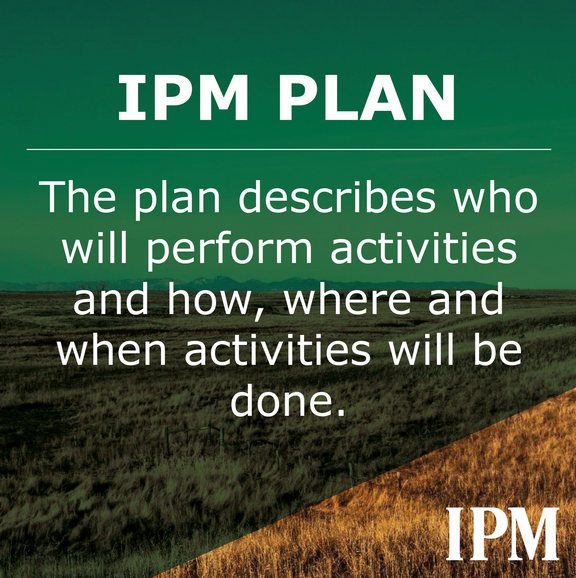 The IPM plan describes who how where and when activities will be done