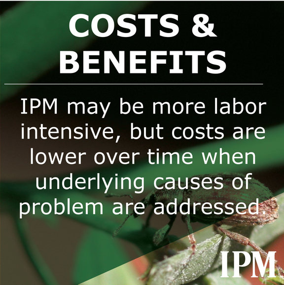 IPM may be more labor intensive but may solve underlying issues