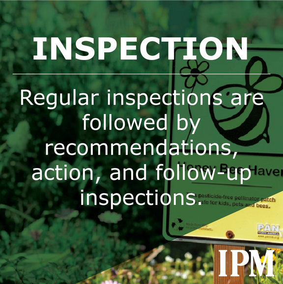 Regular inspections are followed by recommendations