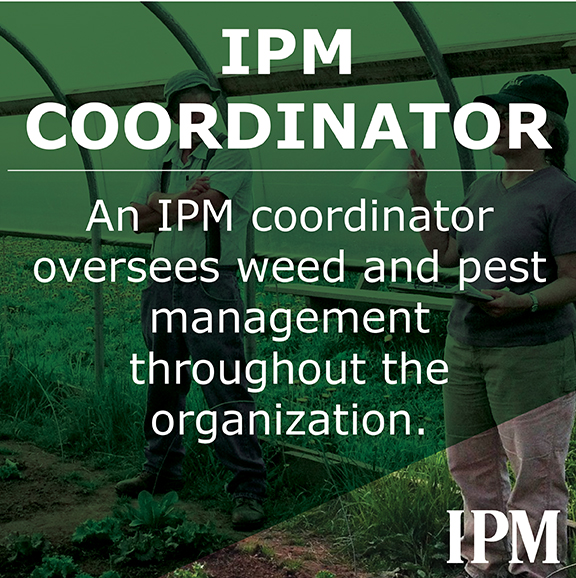 The IPM coordinator manages IPM