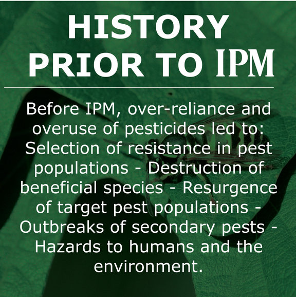 Before IPM, overuse of pesticides led to resistance in pests and destruction of beneficial species