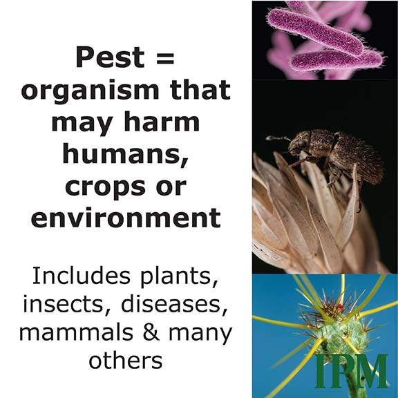 Pests include organisms that may harm humans or crops