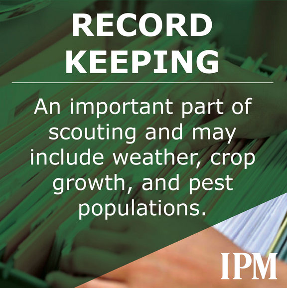 Recordkeeping is an important part of scouting