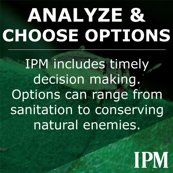 IPM includes making timely decision making