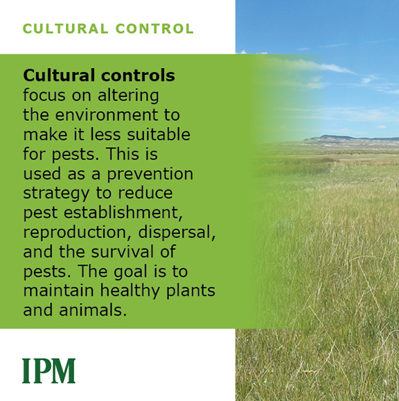 Cultural controls