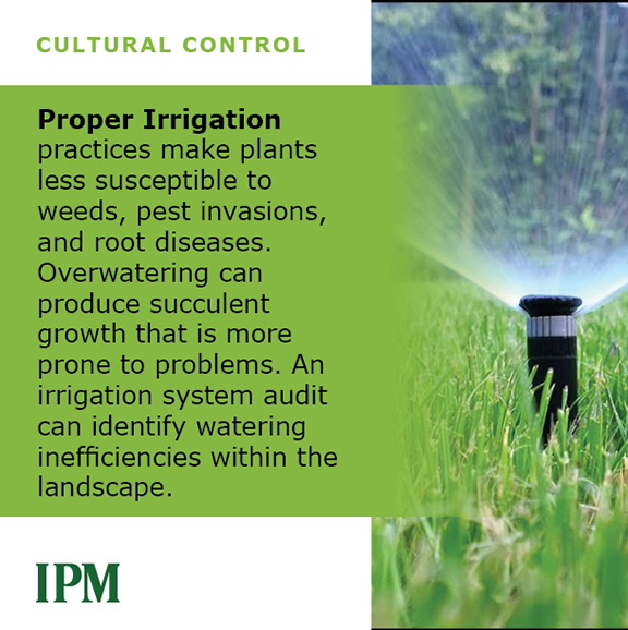 Proper irrigation
