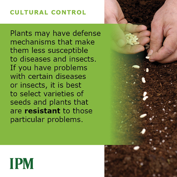 Plant resistance 