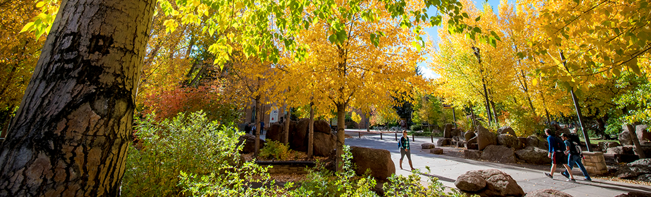 fall scene on campus 