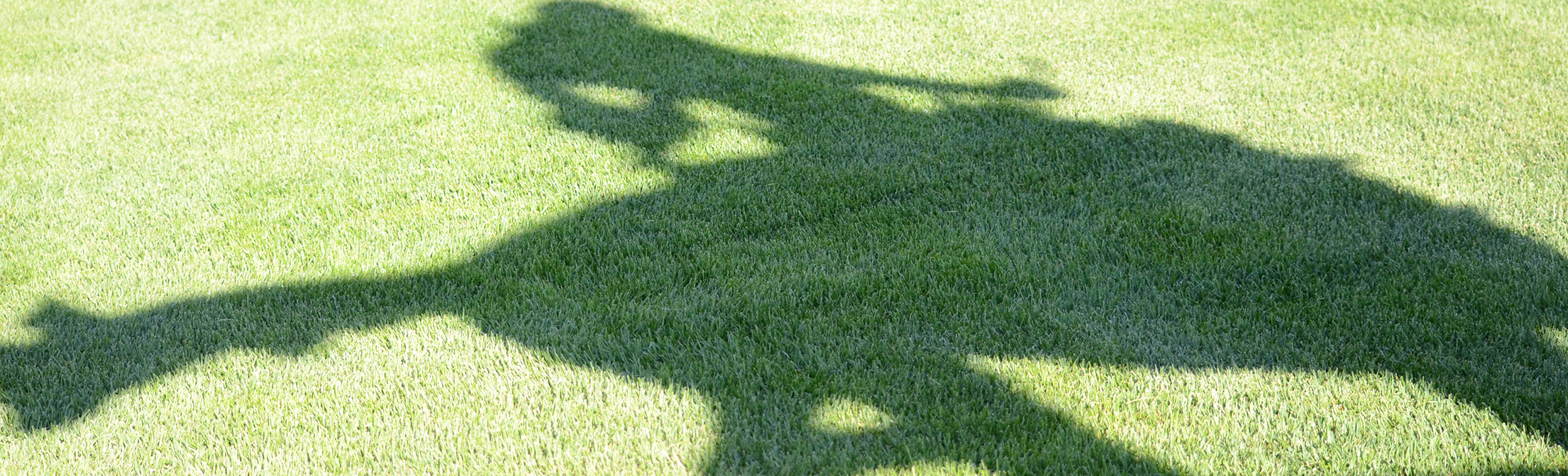 shadow of steamboat on grass