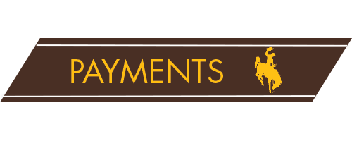 Payments button