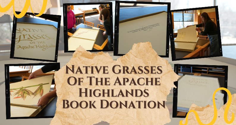 decorative image featuring several images and text that reads Native Grasses of the Apache Highlands Book Donation