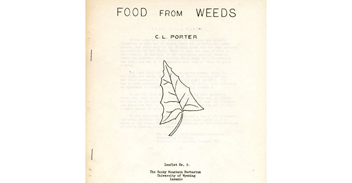 Food from Weeds Herbarium leaflet