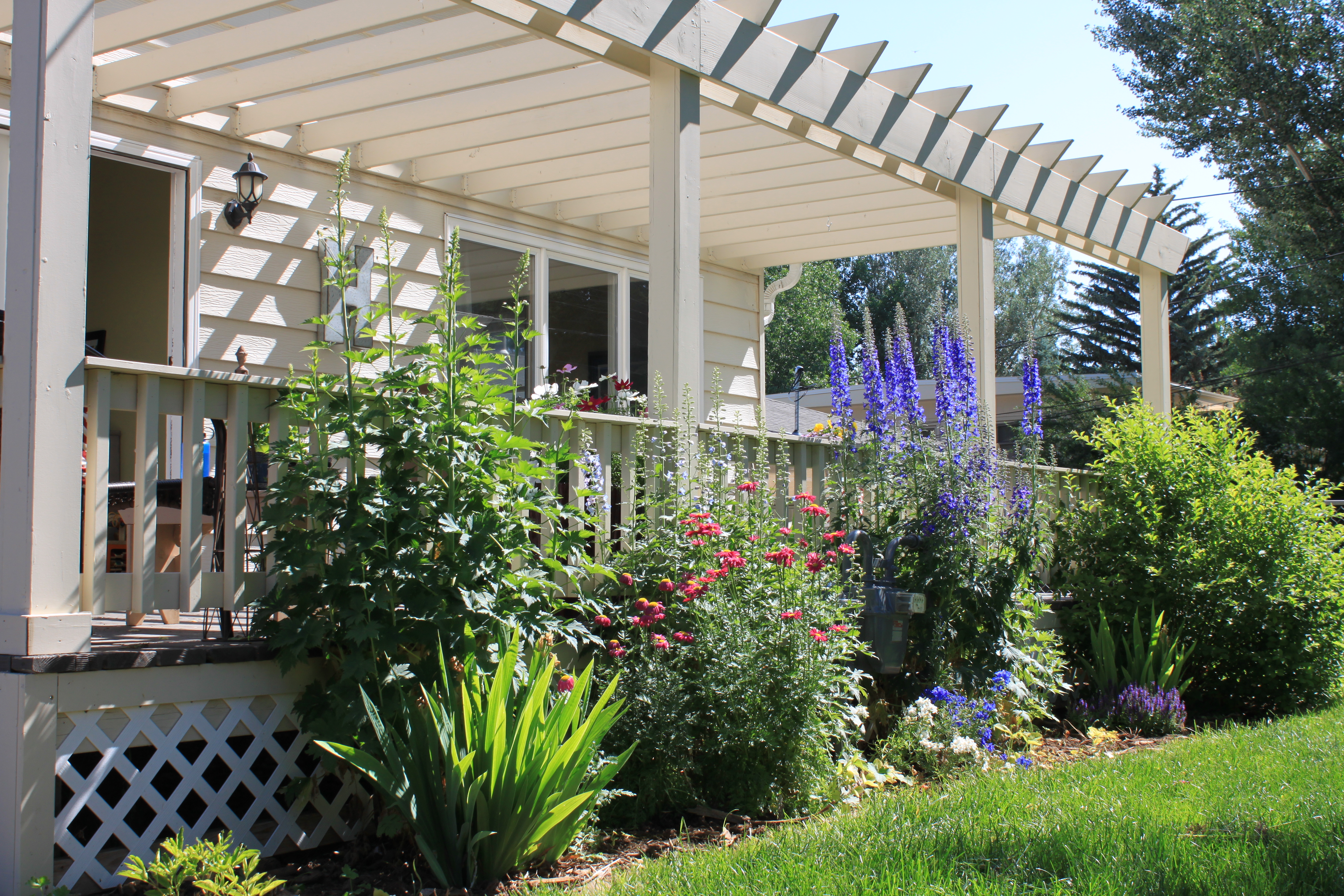 Flowering Plants in a home landscape