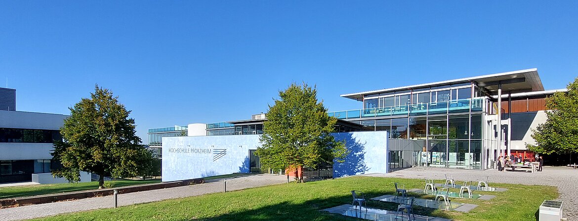 pforzheim university business college