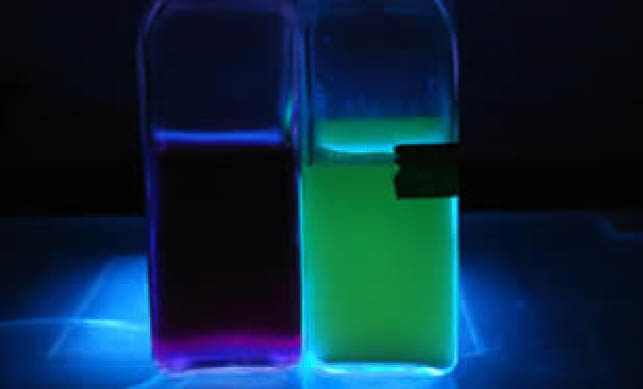 PA broth negative and positive results under UV light