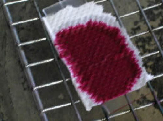 slide with stain and paper towel on heating grate
