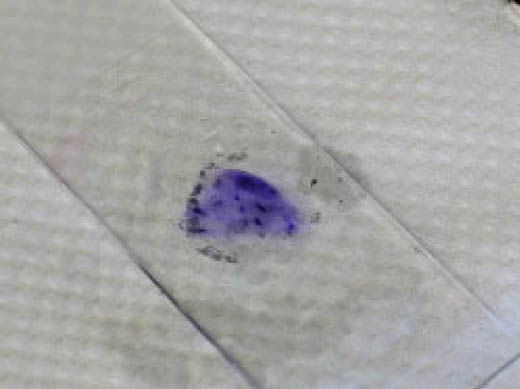 slide with light blue smear