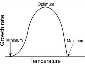 graph of bacterial growth as it relates to temperature