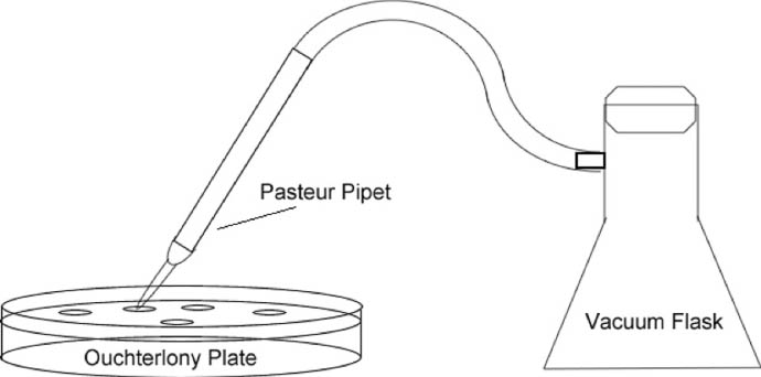 pasteur vacuum diagram