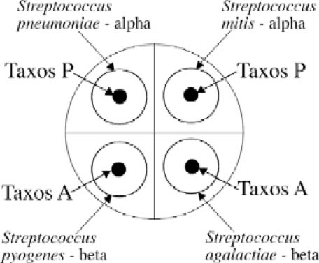 Taxos test plate diagram