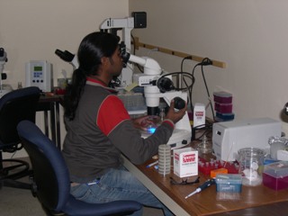 Molecular Biology Department Degree Program Postdoctoral Associate Dr. Kumaran Mani Molecular Biology Department Degree Program Postdoctoral Associate Dr. Kumaran Mani