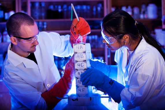 Molecular Biologist Education molecular biology college of agricultural and resources of wyoming Molecular Biologist Education molecular biology college of agricultural and resources of wyoming