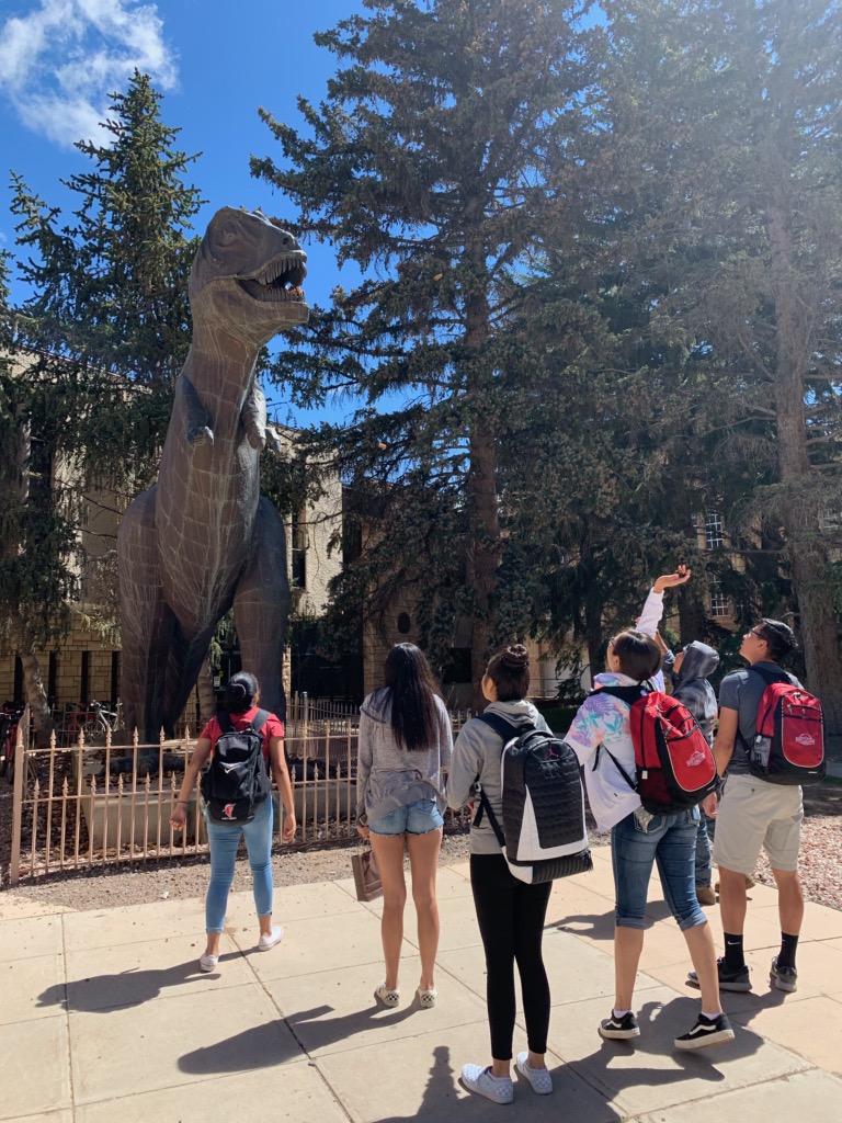 students try and put pinecones in rexy