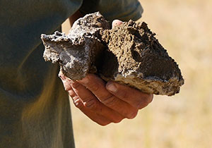 someone holding a handful of hard soil