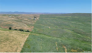 fields seen from overhead