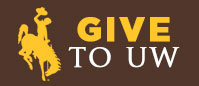 Brown & Gold Give to UW Button