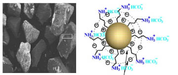 Microscope picture and polar molecule with amonium bicarbonates illustration