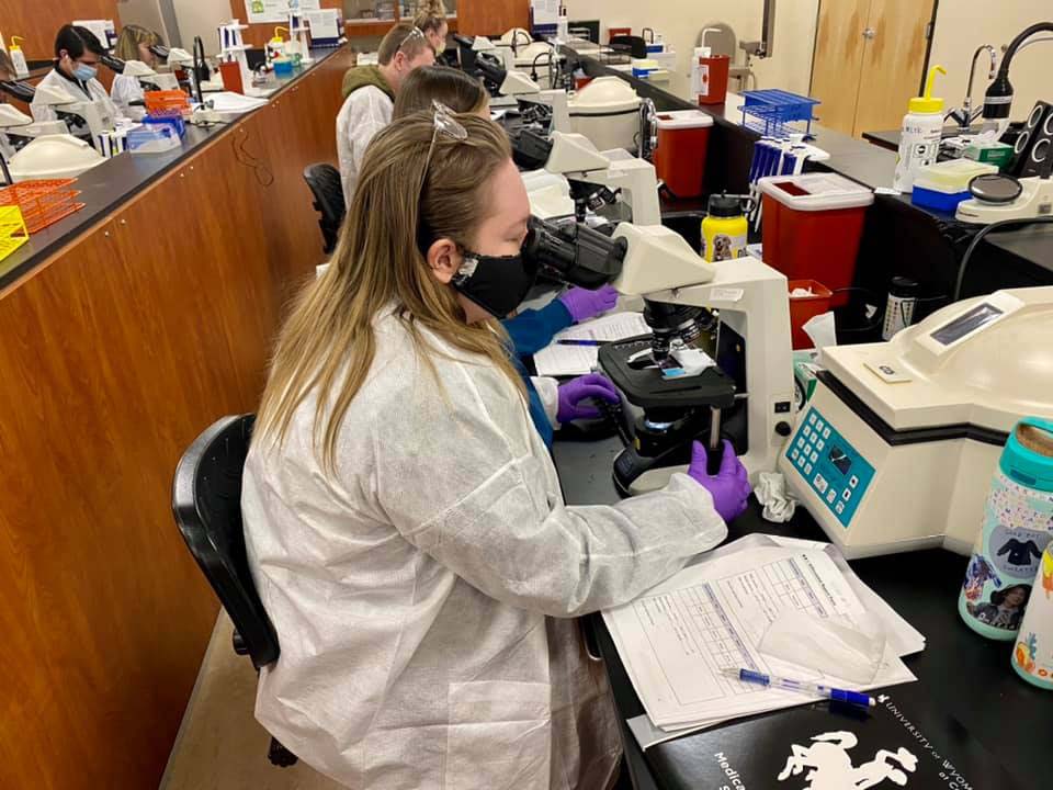 Students working in a lab with microscopes. 