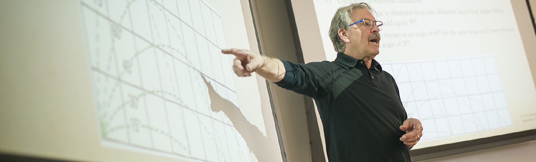 professor pointing at projection
