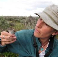 Anna Chalfoun, University of Wyoming Program in Ecology faculty