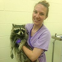 Lauren Stanton, University of Wyoming Program in Ecology student