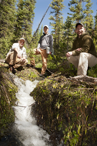 The University of Wyoming offers a PhD in Program in Ecology