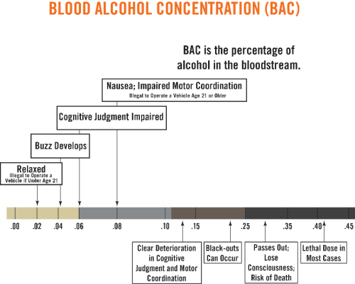 Blood Alcohol Concentration Information