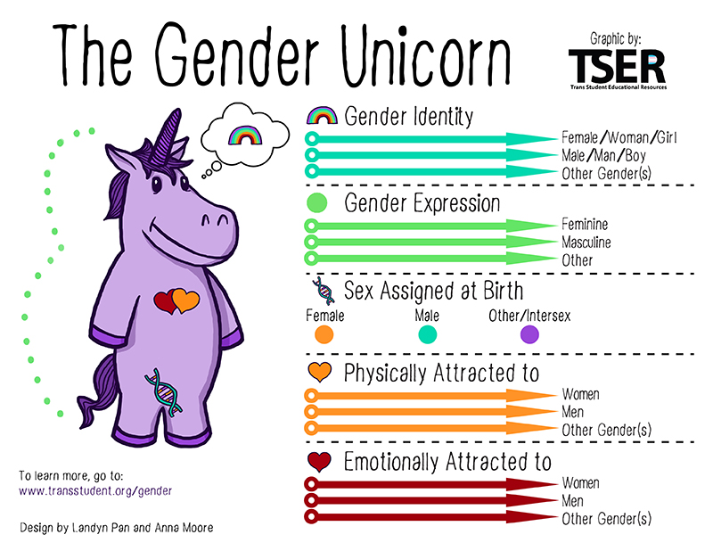 Gender Unicorn Graphic