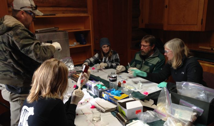 Image of researchers working around a table in one of the Labs at AMK Ranch