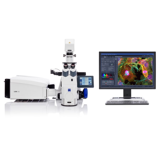 image of confocal microscope