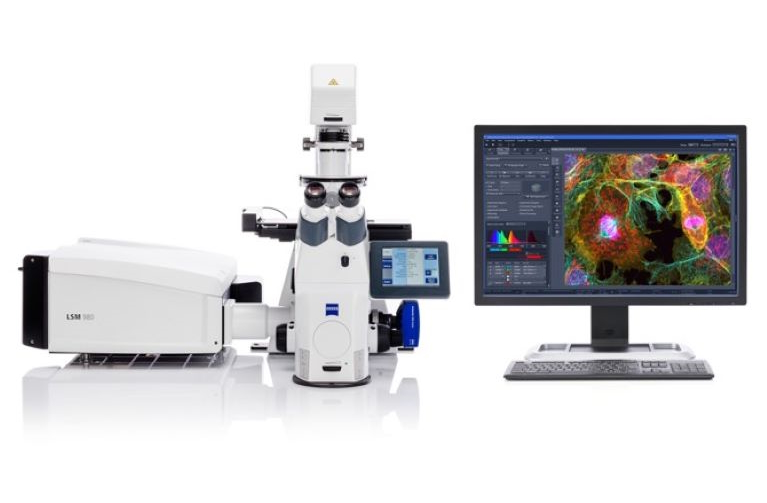 image of confocal microscope