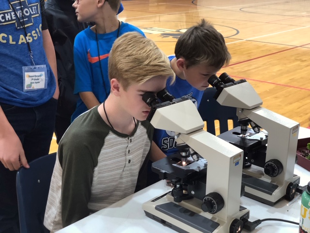 Student looks through microscope