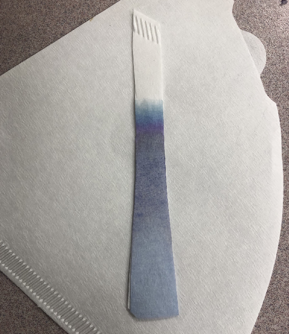 Dyed strip of paper
