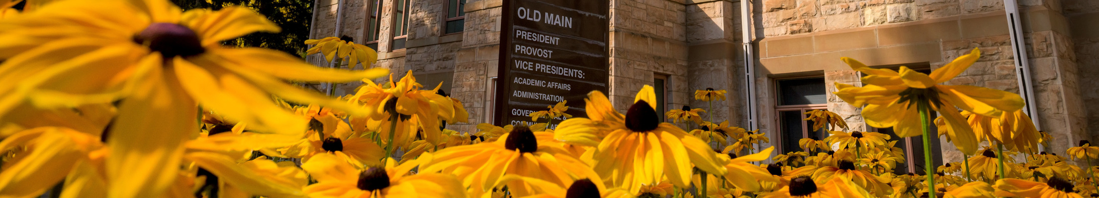 Detailed photo of flowers outside of Old Main building.
