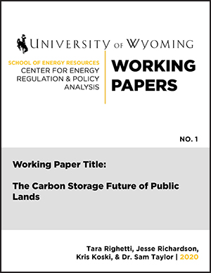 cover page of working paper