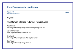 download the article