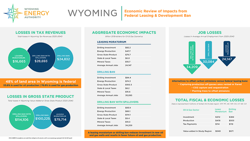 infographic of information from the report