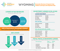 infographic of information from report